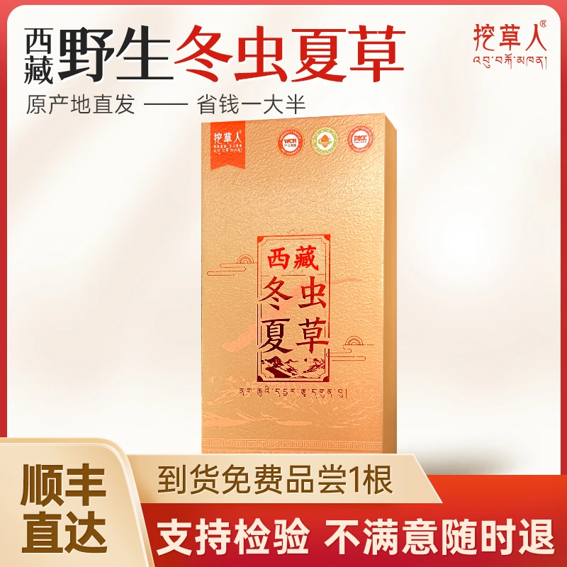 1克体验装【西藏头茬新干草】野生冬虫夏草高海拔产地直发