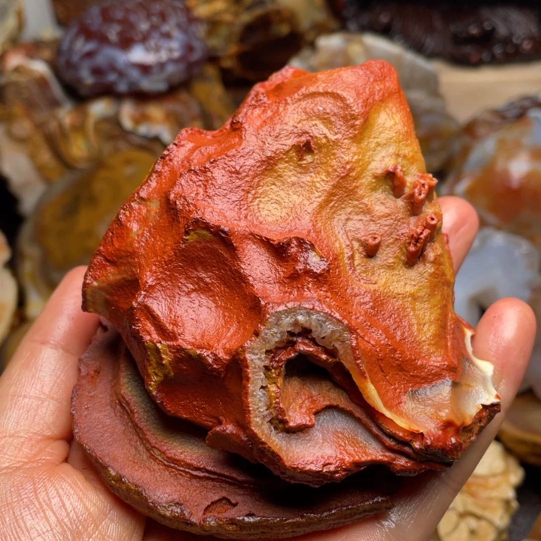 石材?****玉阿拉善奇石摆件