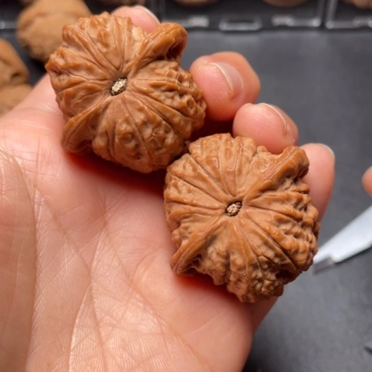 【闪购商品】把件文玩核桃血麒麟…………