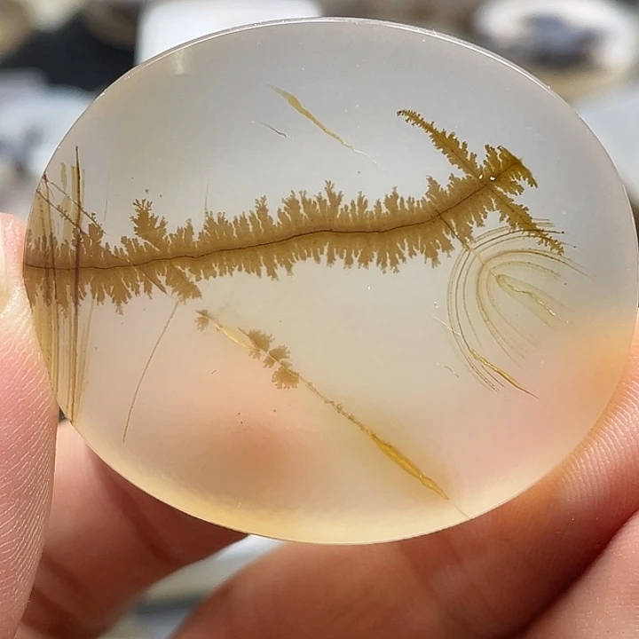 一***诺玛瑙/玉髓未镶嵌颈饰