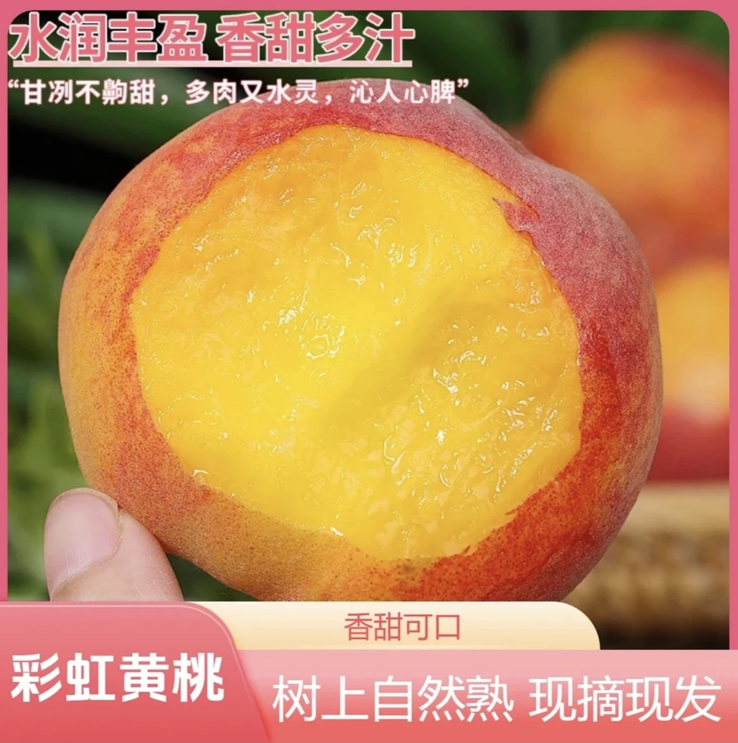 新鲜现摘桐柏山彩虹黄桃当季水果脆甜多汁露天自然成熟