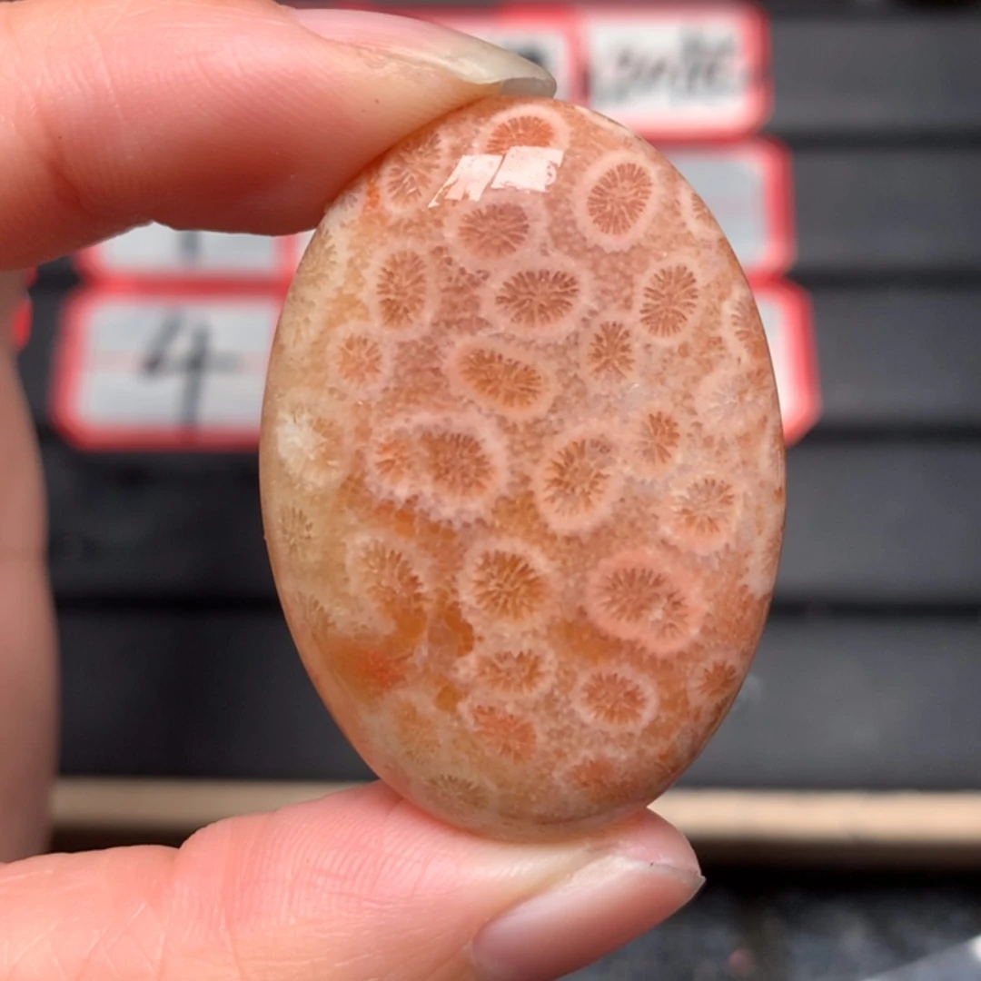 【闪购商品】硅化玉颈饰未镶嵌不***喵