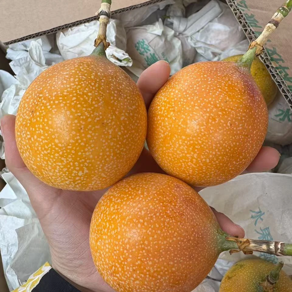 热情果约500g