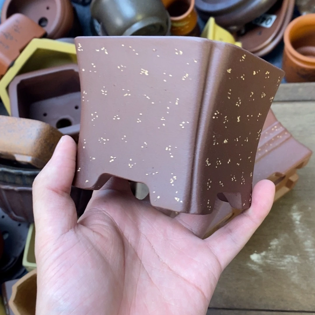 vvvvvvvvvvvvvvvvvvvvvvvv