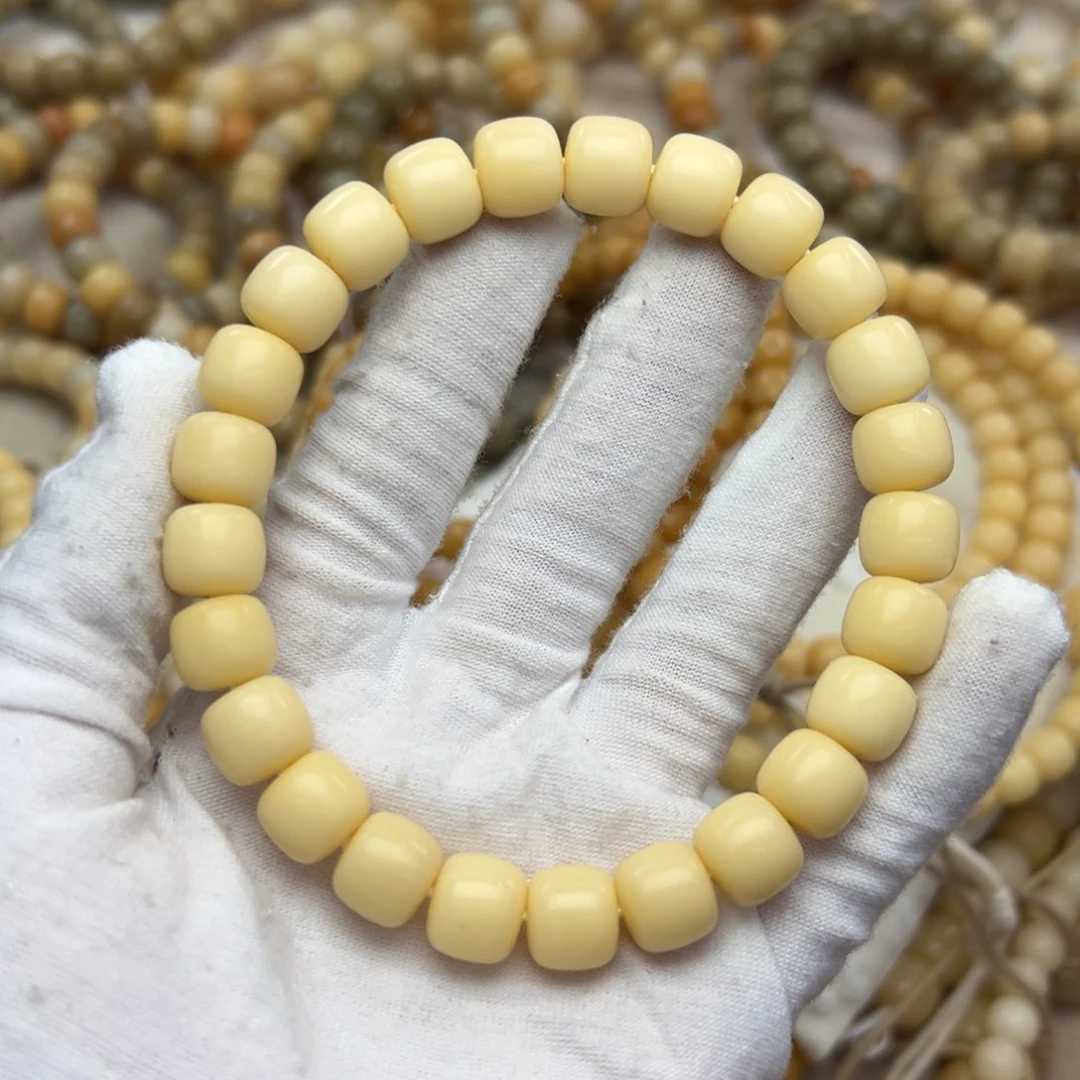 吊坠菩提根/象牙果11干磨树王815