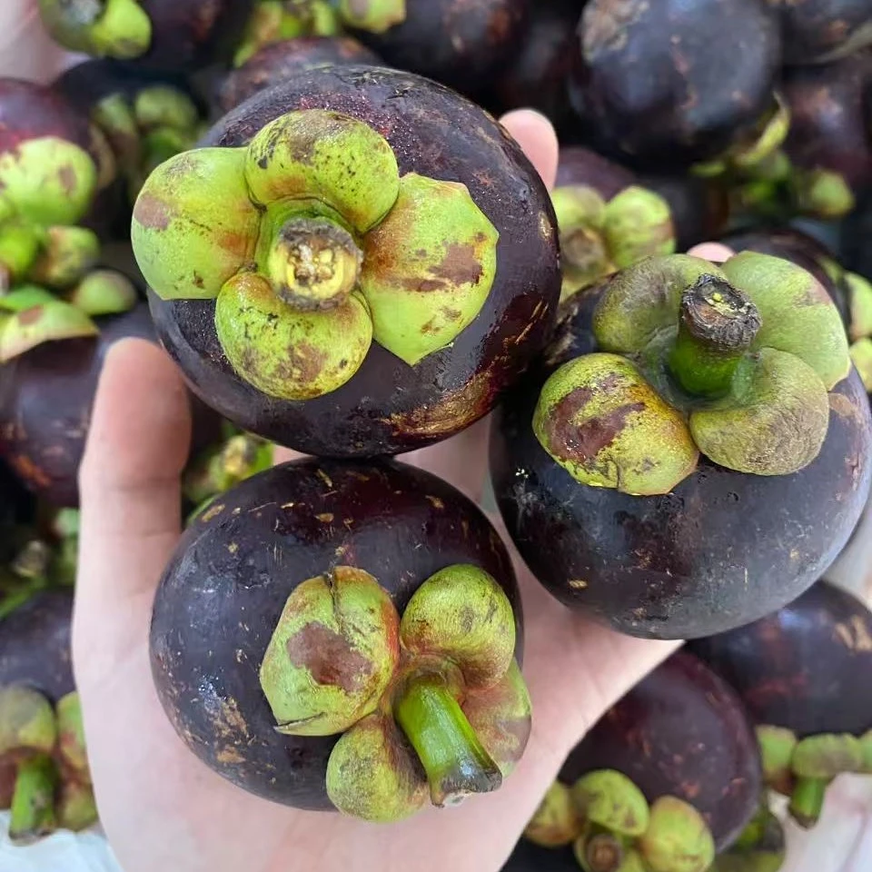 4A进口山竹3斤装