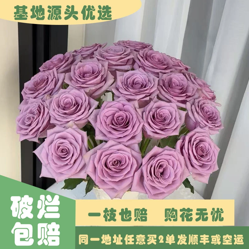 【基地源头优选】  紫霞仙子 任意两单发顺丰或空运