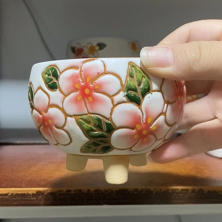 韩式多肉植物花盆