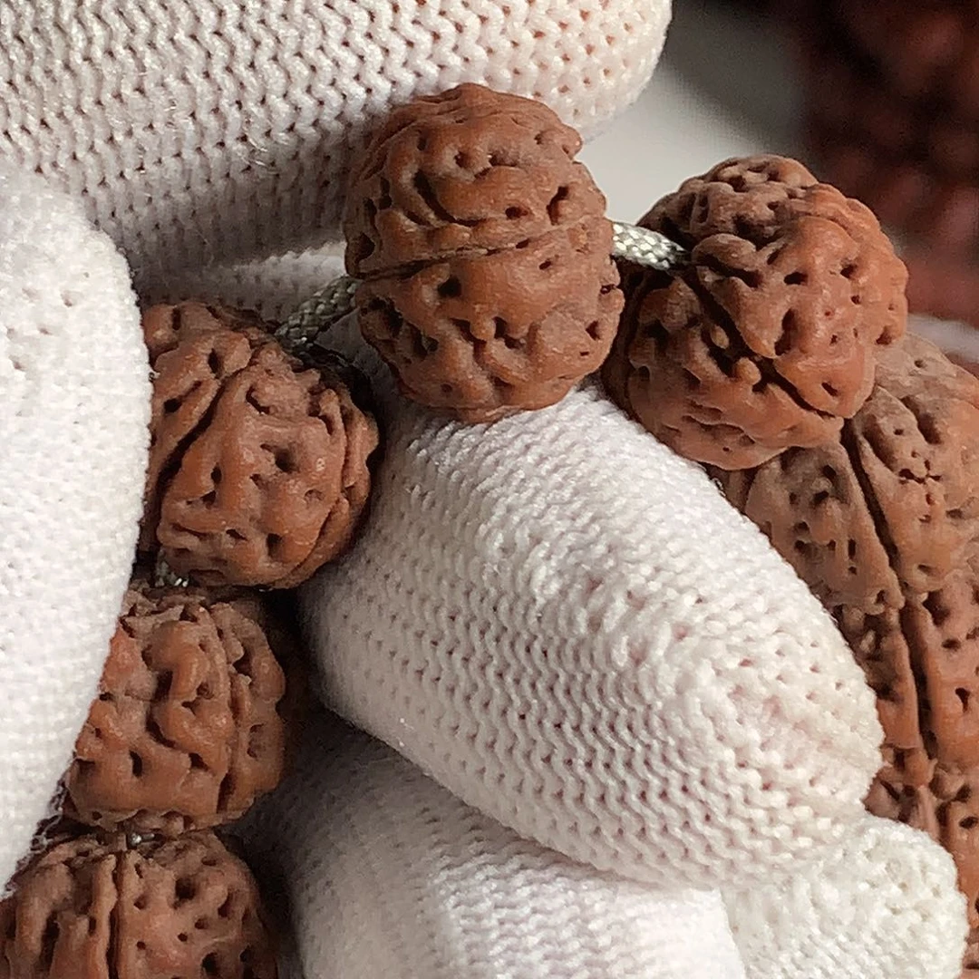 金刚菩提吊坠老树王单圈13.5mm单圈