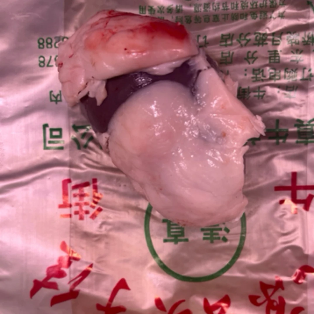 鲜羊腰子 原油鲜腰子 1斤