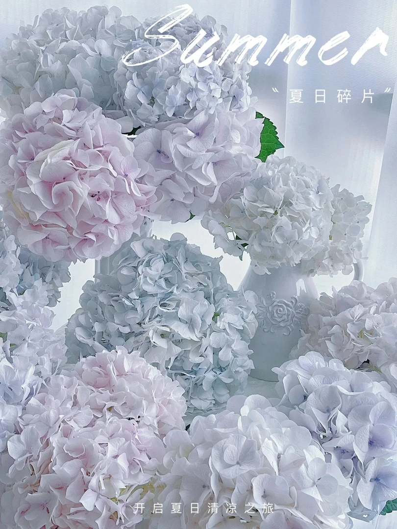 莫奈绣球花卉蓝色鲜花鲜切花新鲜鲜花花束粉色多头紫色白色