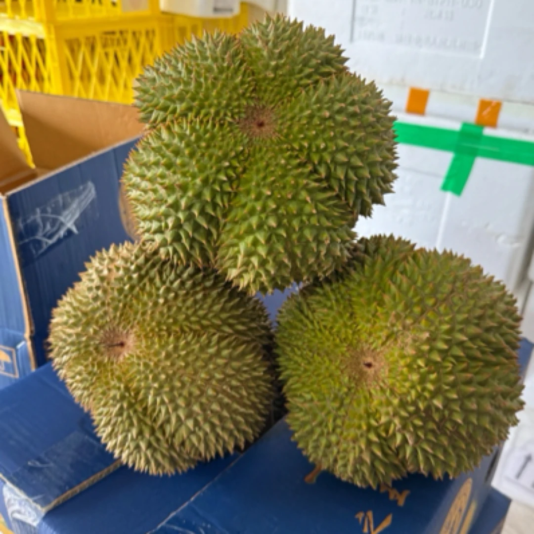 泰国榴莲泰子鲜长柄干尧榴莲