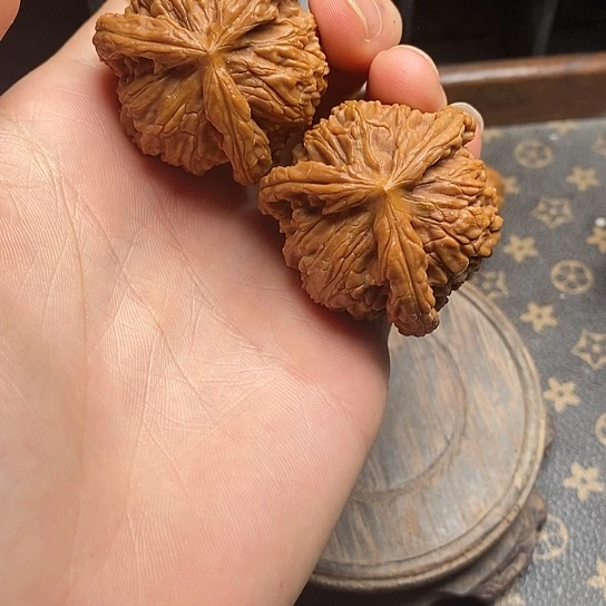 黄**马白狮111111111111111