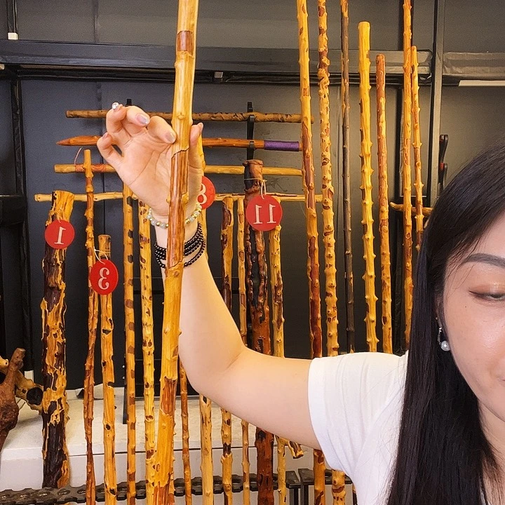 登*者好好好好好好好好