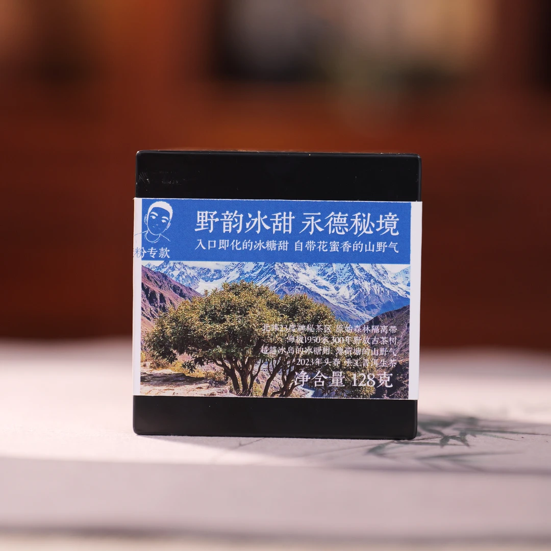 四哥专享：野韵冰甜-永德秘境古树2023年头春-8克砖16块/盒04871