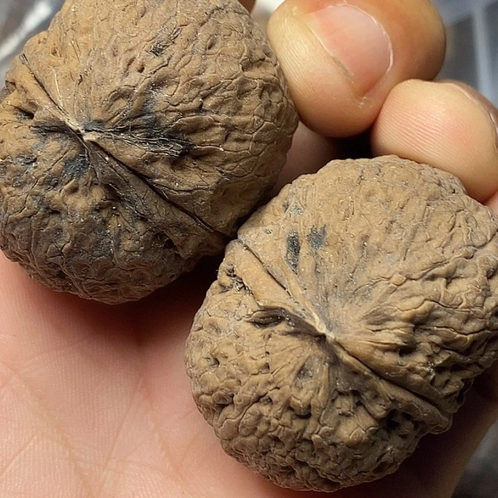把件文玩核桃云南铁核桃6