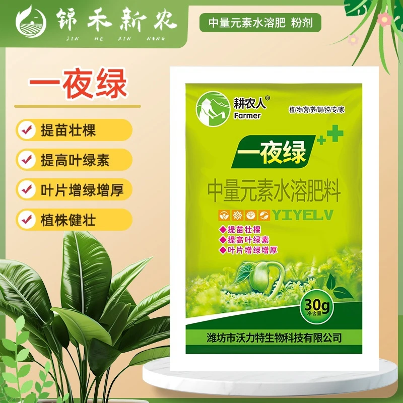 一夜绿叶面肥叶绿素提苗壮棵增绿黄叶速绿蔬菜果树植物通用水溶肥
