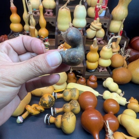 木质葫芦等经济林木生长起来后形成