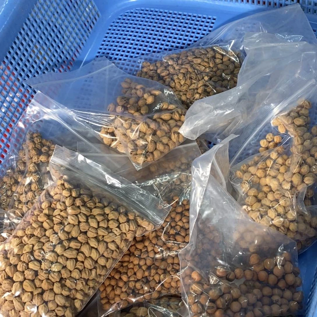 柏香籽/百香籽吊坠没打孔馓子