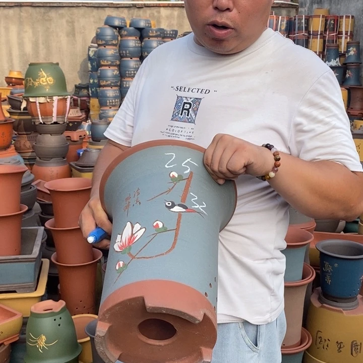 紫砂花盆盆栽花卉苗木种植