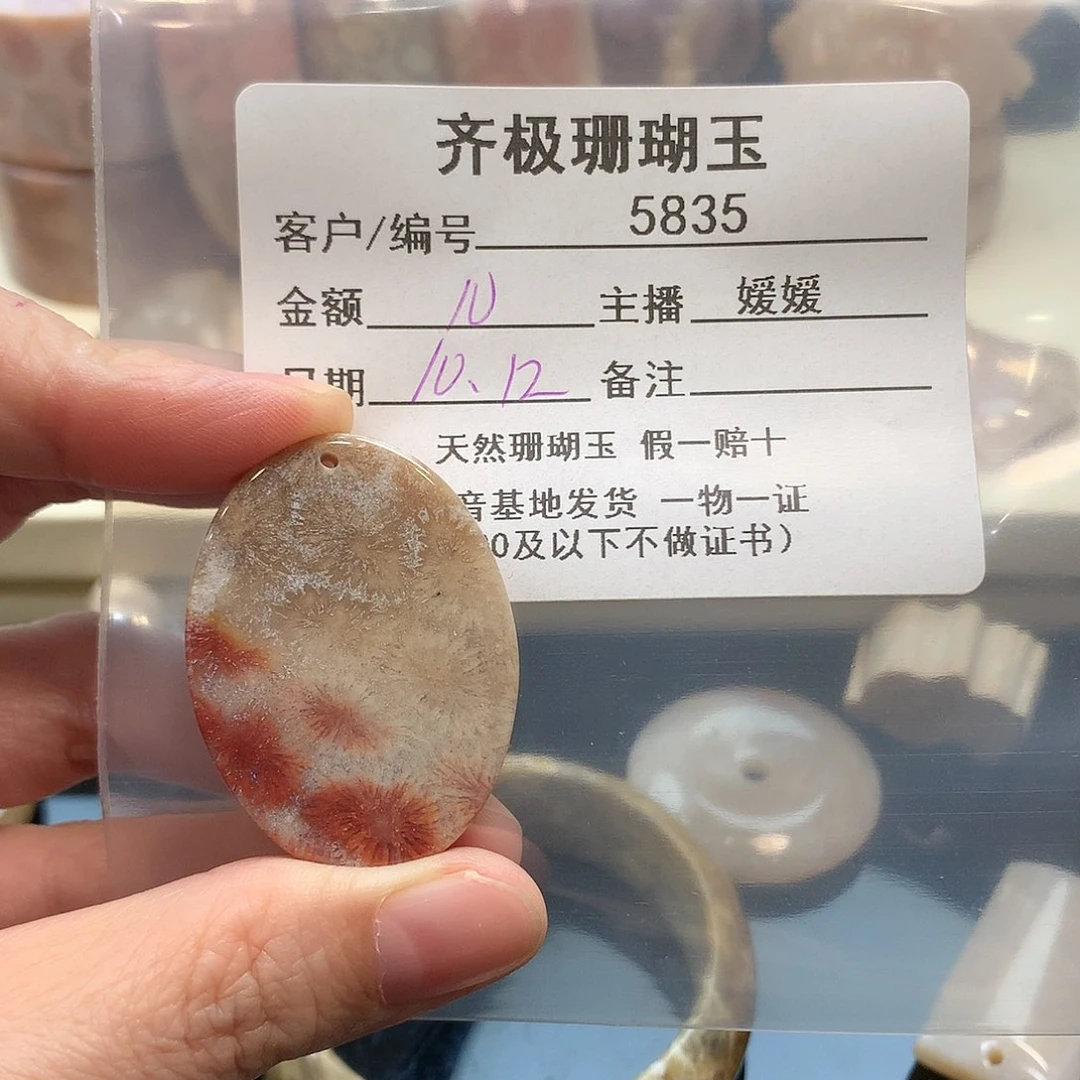 颈饰未镶嵌硅化珊瑚（珊瑚玉）浅****