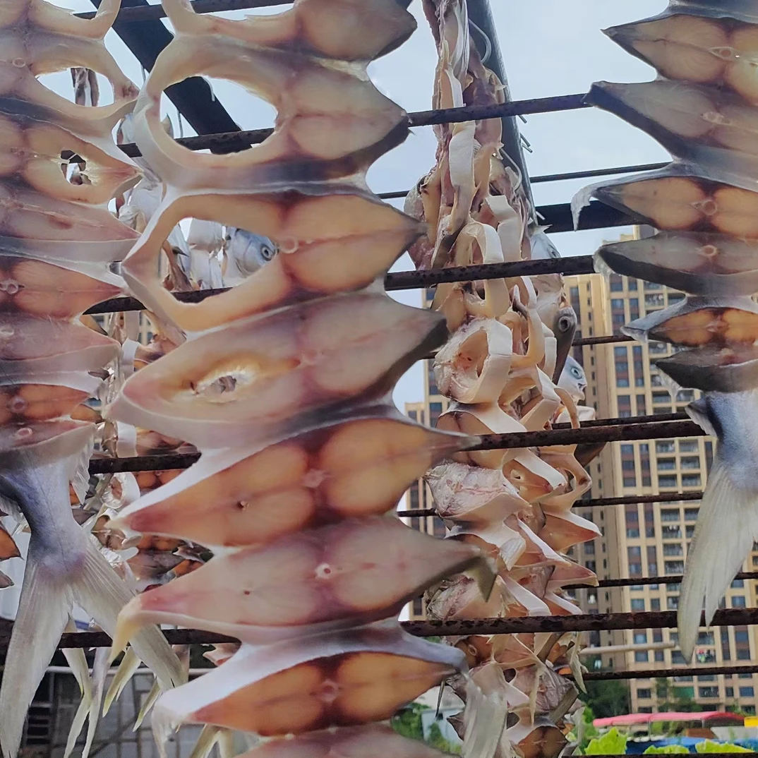 湛江特产金鲳鱼干 9两-1斤/条 香煎红烧焖汁超好吃！