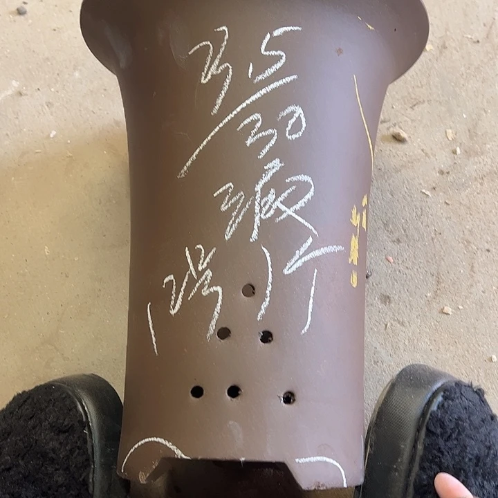 12…………………………………………