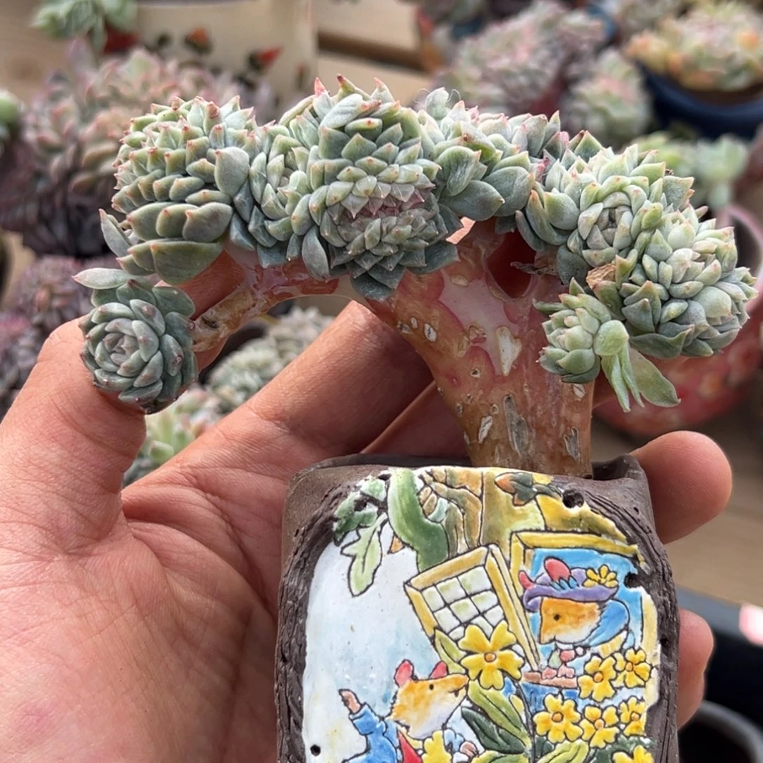 新年快乐 新年快乐