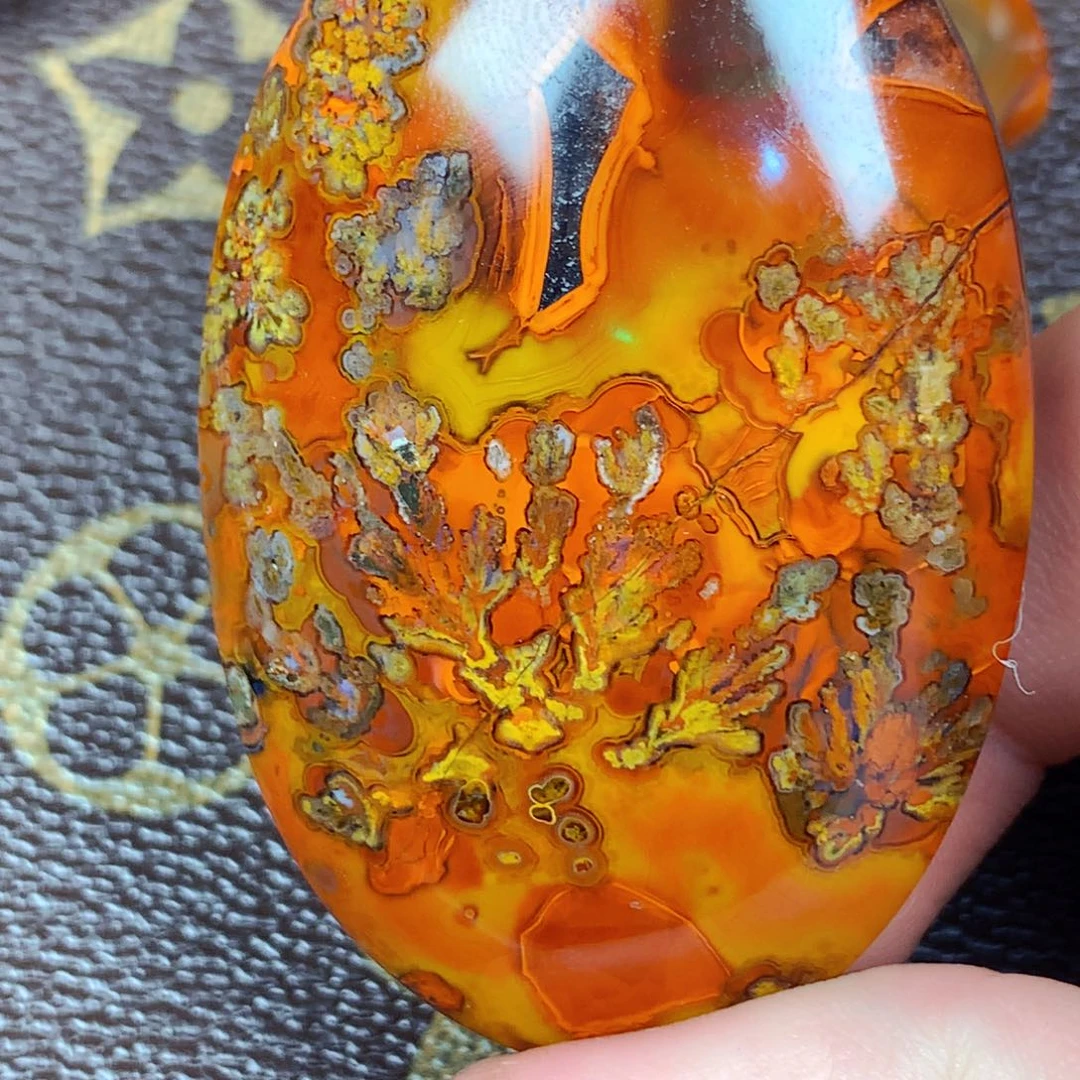 清***来玛瑙/玉髓未镶嵌战国红