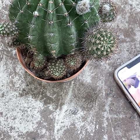 山脉，7公分左右2468