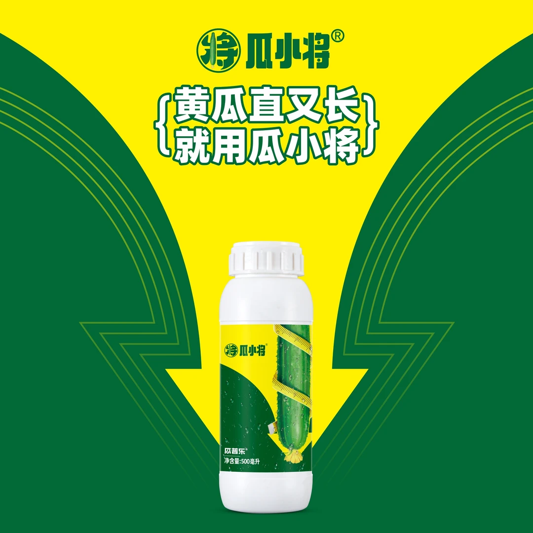 D瓜小将黄瓜蔬菜专用高产生物黄叶促花膨果秧子壮瓜条直溜叶面肥