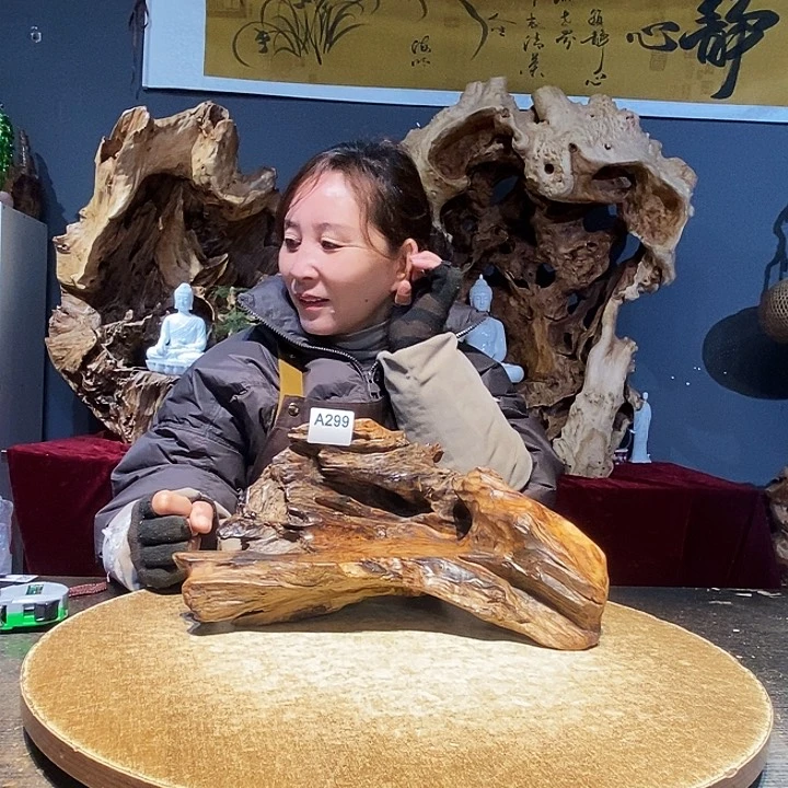 洪*299株木随行的小根艺