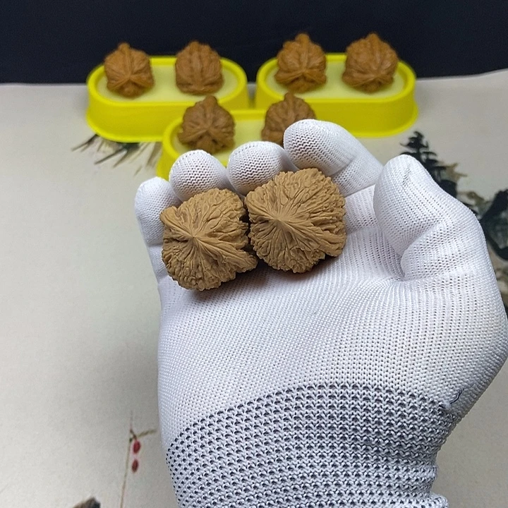 核桃核桃等经济作物的栽培技术研究和推广