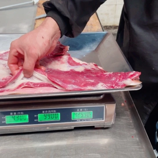 【闪购商品】冷冻保存30天包装河北省