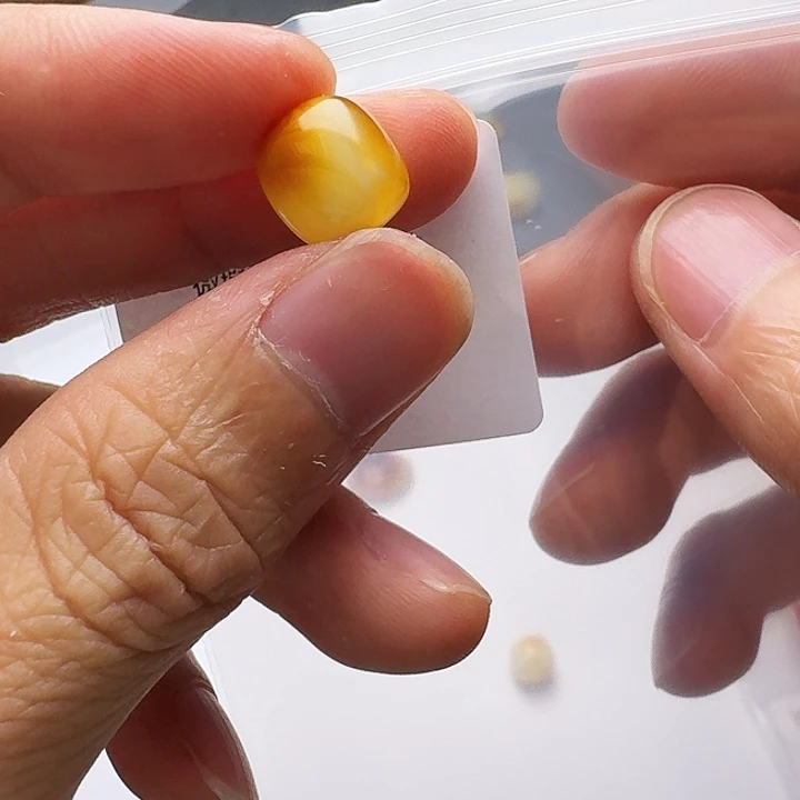 裸石琥珀未镶嵌琥珀