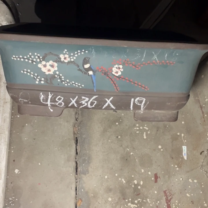 周三周四自始至终自作自受