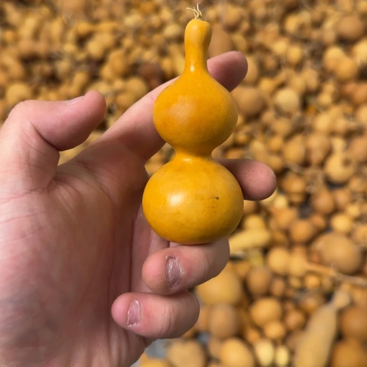 福利价格9.9不退不换2