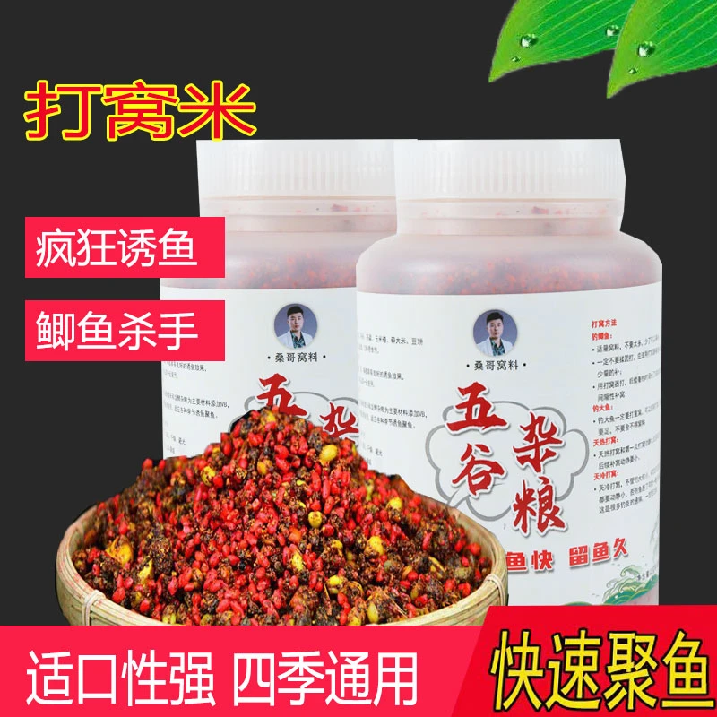 桑哥五谷杂粮发酵一年以上底窝窝料58味大味型酒米针对鲫鲤草鳊鱼