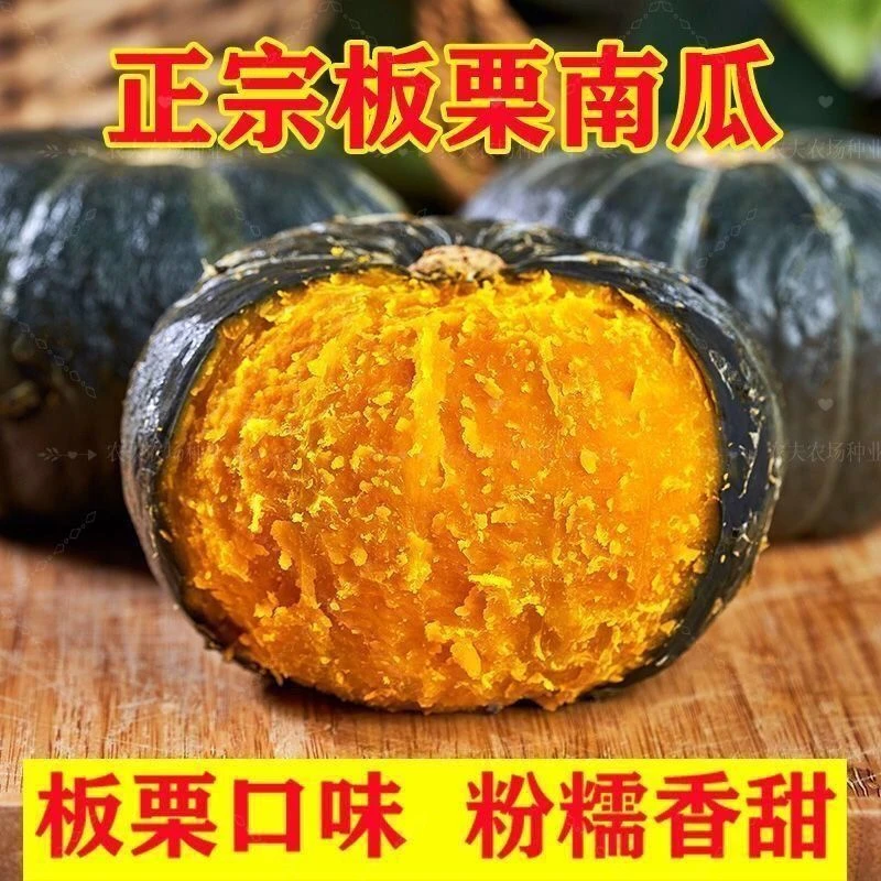 【绿甜栗南瓜】种子新品种早熟贝贝南瓜蔬菜种子板栗风味软糯香甜