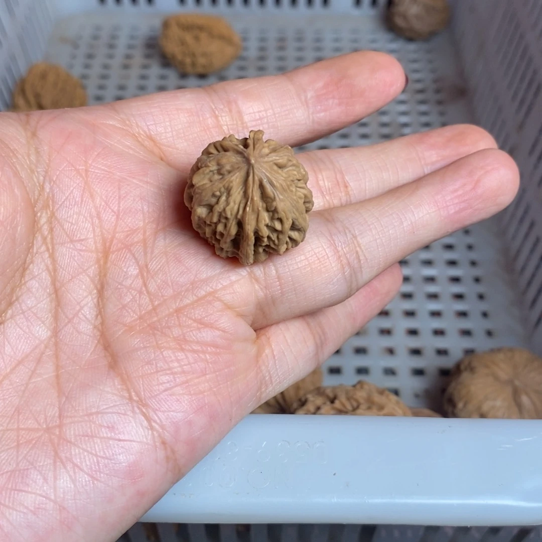 有***年文玩核桃把件文玩