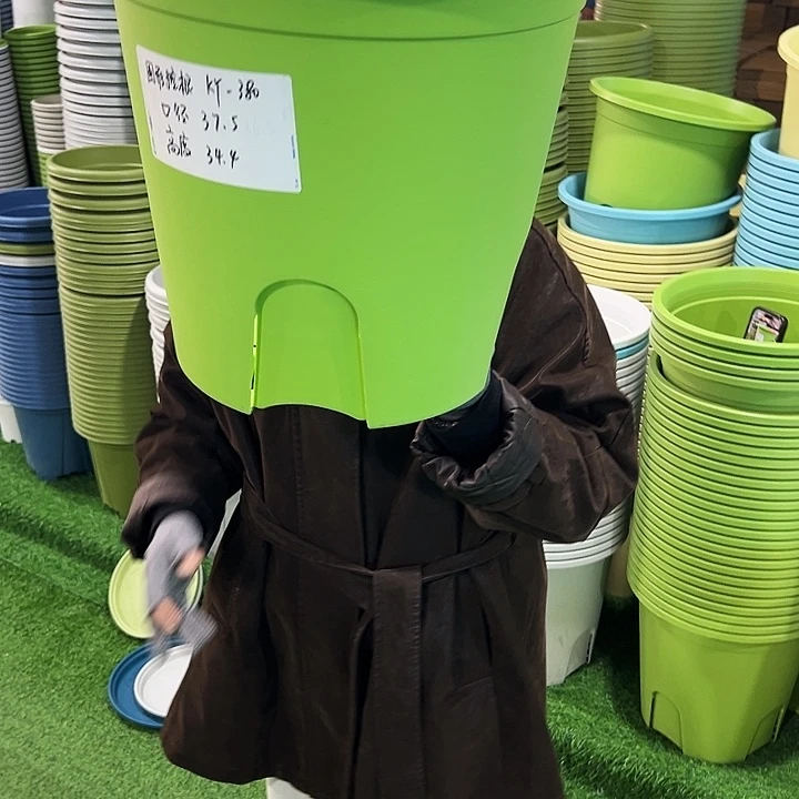 正品圆控口37.5高34果绿无托3只