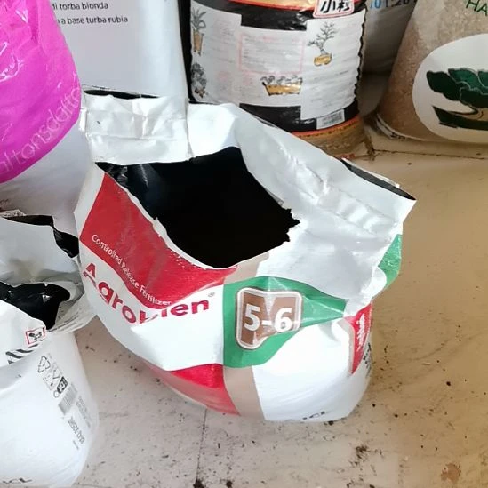 金***港正宗奥绿肥A2的2斤