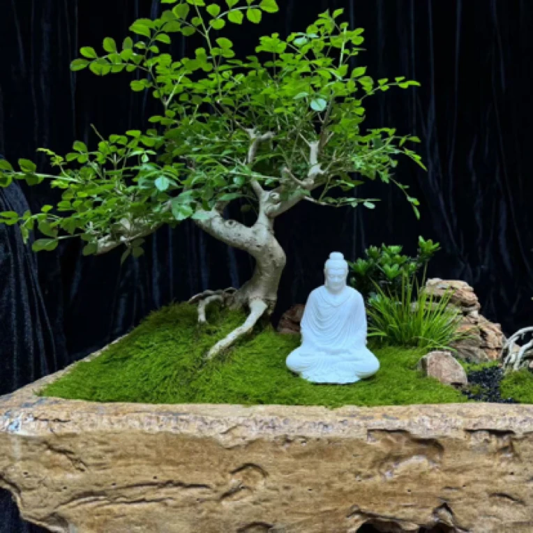 白云石如来佛祖(6/8/11)茶空间摆件家居禅意摆件鱼缸造景