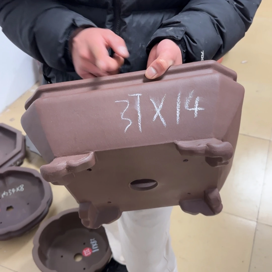 紫砂花盆呜呜呜呜