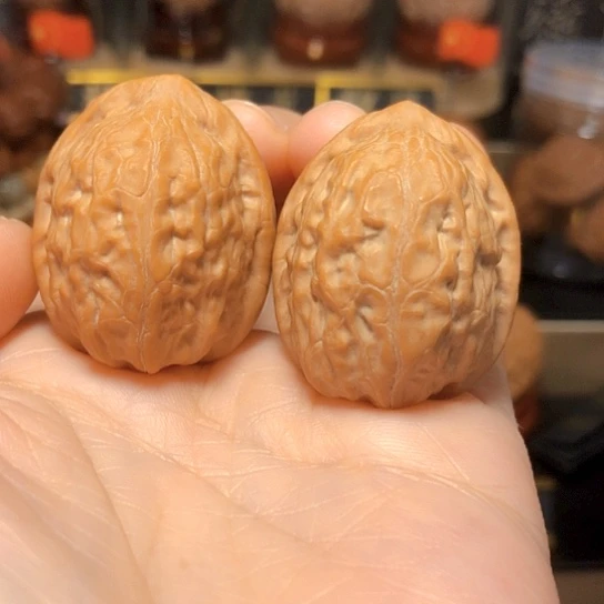 野生小熊：平谷舍利