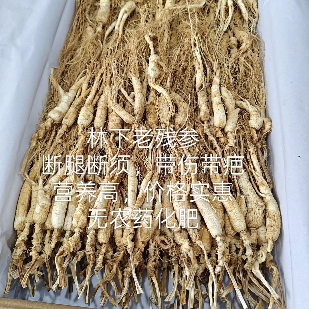 林下趴货残参 长白山干人参 泡酒人参煲汤人参 林下人参残参实惠