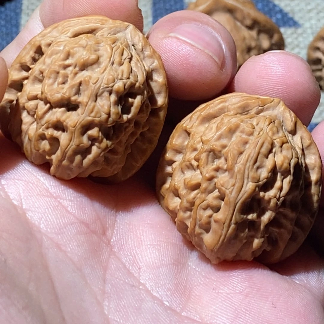 文玩核桃把件L*.白狮子手捻