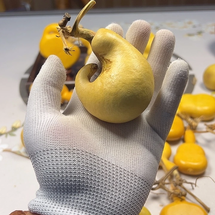 大***呦哈哈哈哈哈哈哈哈哈哈哈