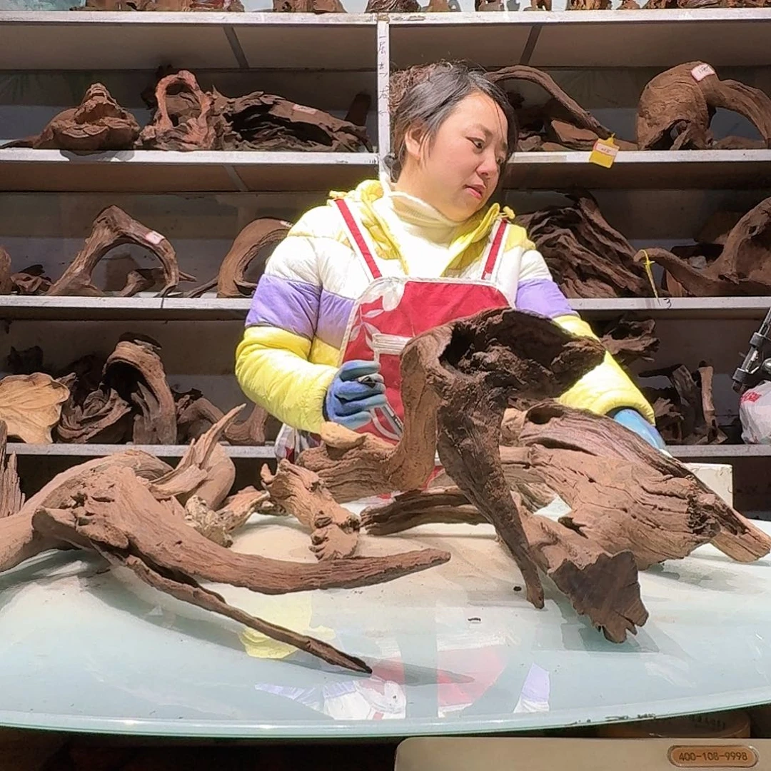 倍诸沉木不包损必褪色范*大6927紫柚枝条