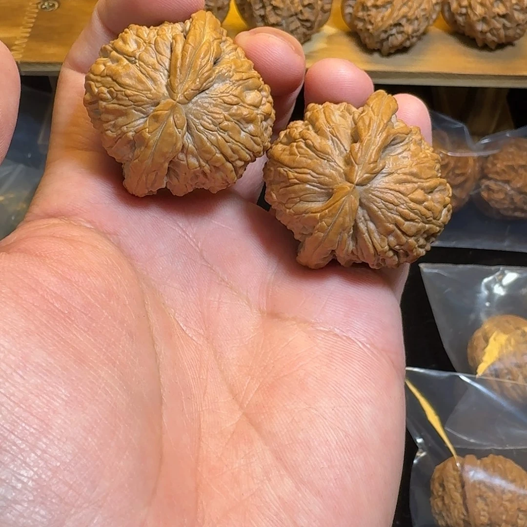 文玩核桃把件40白狮子